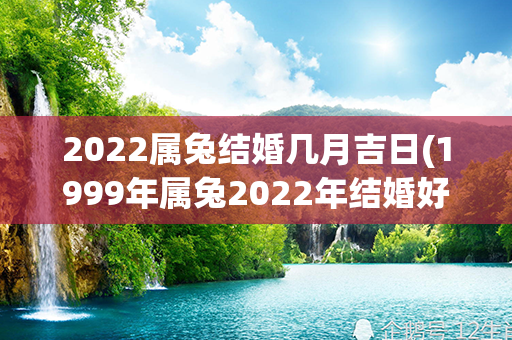 2022属兔结婚几月吉日(1999年属兔2022年结婚好吗)