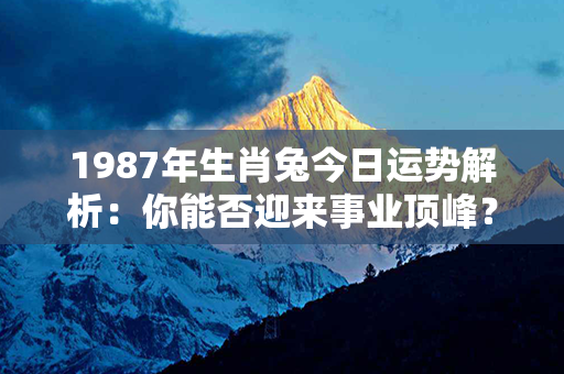 1987年生肖兔今日运势解析：你能否迎来事业顶峰？