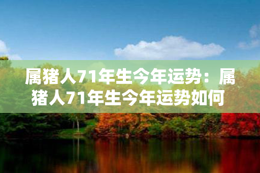 属猪人71年生今年运势：属猪人71年生今年运势如何 