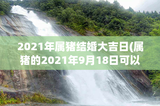 2021年属猪结婚大吉日(属猪的2021年9月18日可以结婚吗)