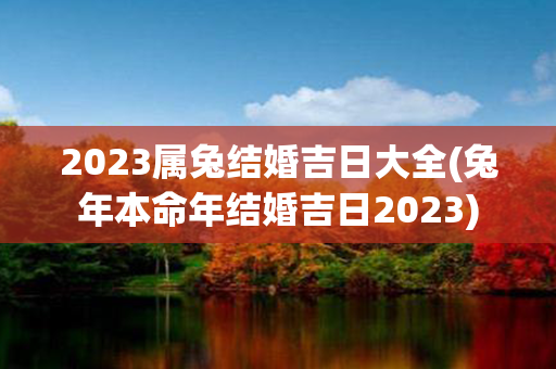 2023属兔结婚吉日大全(兔年本命年结婚吉日2023)