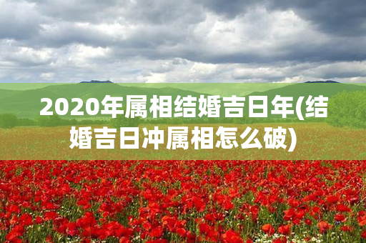 2020年属相结婚吉日年(结婚吉日冲属相怎么破)