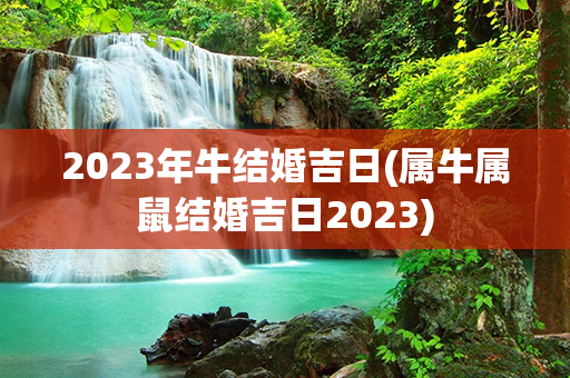 2023年牛结婚吉日(属牛属鼠结婚吉日2023)