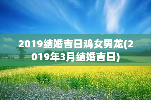 2019结婚吉日鸡女男龙(2019年3月结婚吉日)