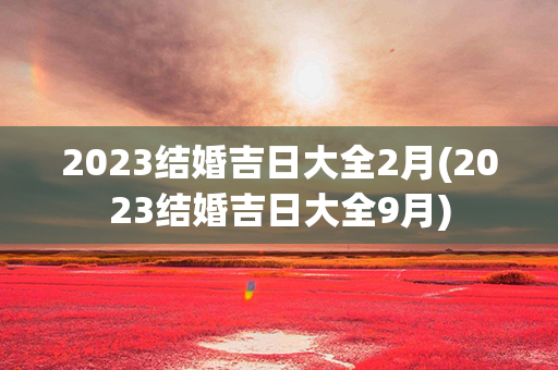 2023结婚吉日大全2月(2023结婚吉日大全9月)