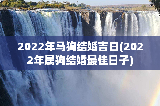 2022年马狗结婚吉日(2022年属狗结婚最佳日子)