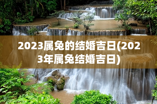 2023属兔的结婚吉日(2023年属兔结婚吉日)