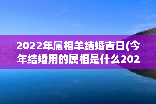 2022年属相羊结婚吉日(今年结婚用的属相是什么2022)