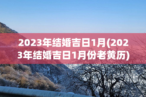 2023年结婚吉日1月(2023年结婚吉日1月份老黄历)