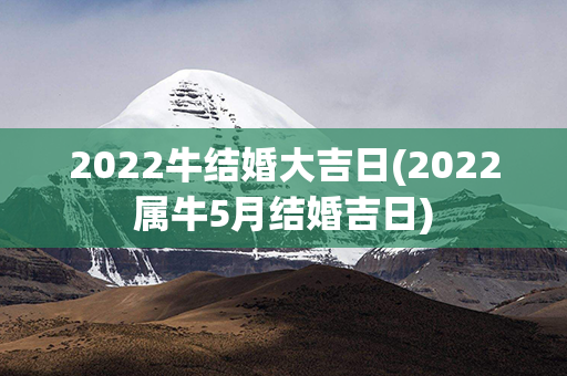 2022牛结婚大吉日(2022属牛5月结婚吉日)