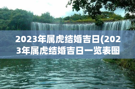 2023年属虎结婚吉日(2023年属虎结婚吉日一览表图片)