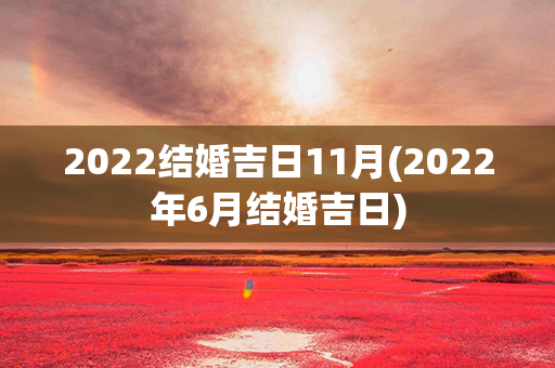 2022结婚吉日11月(2022年6月结婚吉日)