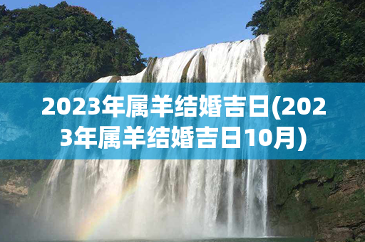 2023年属羊结婚吉日(2023年属羊结婚吉日10月)