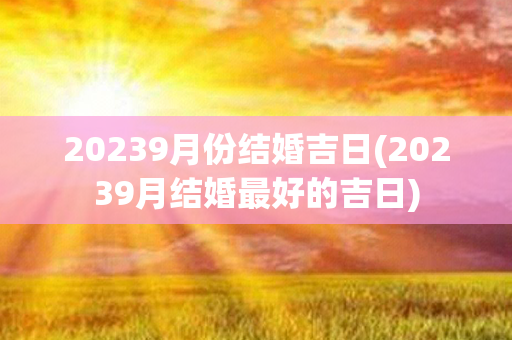 20239月份结婚吉日(20239月结婚最好的吉日)