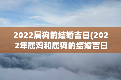 2022属狗的结婚吉日(2022年属鸡和属狗的结婚吉日)