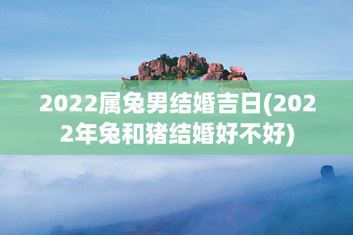 2022属兔男结婚吉日(2022年兔和猪结婚好不好)