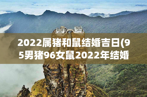 2022属猪和鼠结婚吉日(95男猪96女鼠2022年结婚好吗)