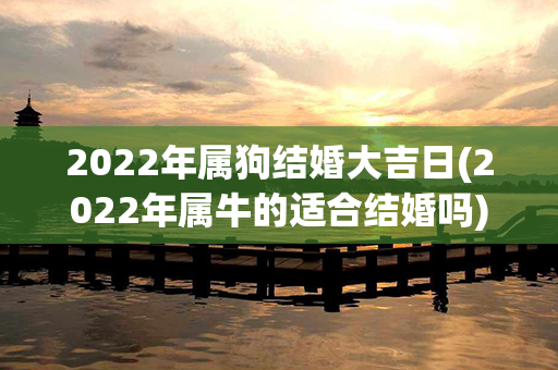 2022年属狗结婚大吉日(2022年属牛的适合结婚吗)