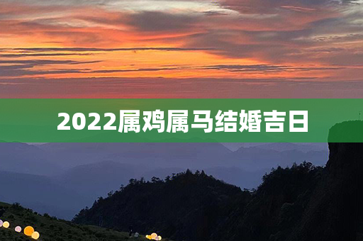 2022属鸡属马结婚吉日