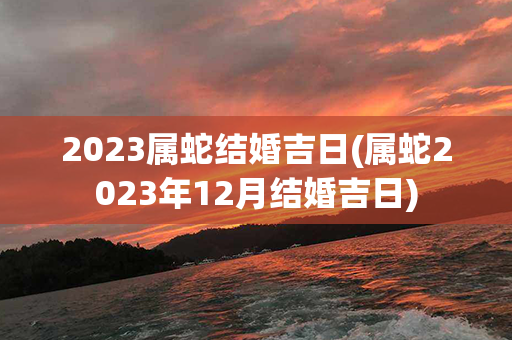 2023属蛇结婚吉日(属蛇2023年12月结婚吉日)