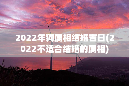 2022年狗属相结婚吉日(2022不适合结婚的属相)