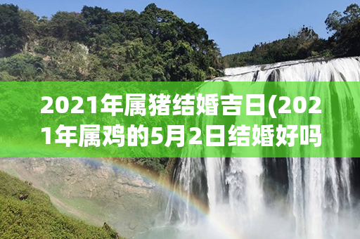 2021年属猪结婚吉日(2021年属鸡的5月2日结婚好吗)