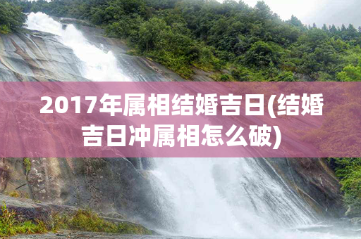 2017年属相结婚吉日(结婚吉日冲属相怎么破)