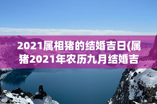 2021属相猪的结婚吉日(属猪2021年农历九月结婚吉日)