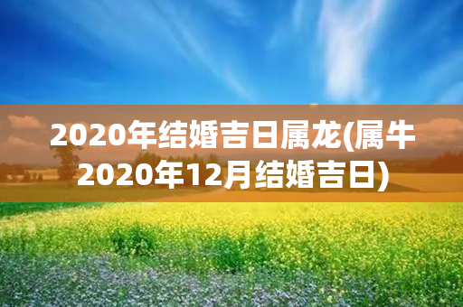 2020年结婚吉日属龙(属牛2020年12月结婚吉日)