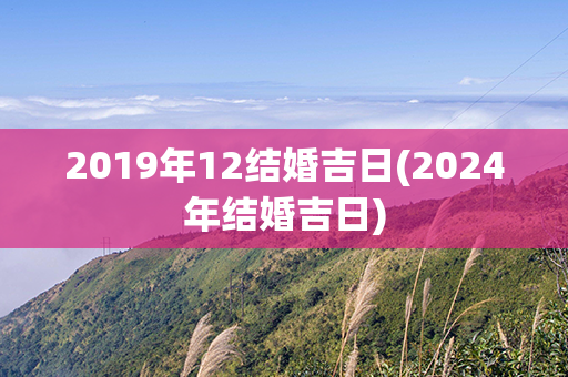 2019年12结婚吉日(2024年结婚吉日)