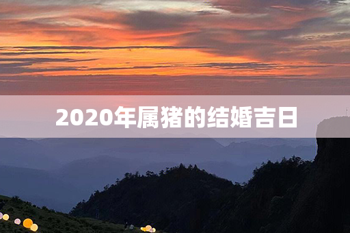 2020年属猪的结婚吉日