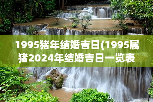 1995猪年结婚吉日(1995属猪2024年结婚吉日一览表)