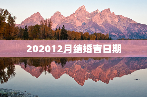 202012月结婚吉日期