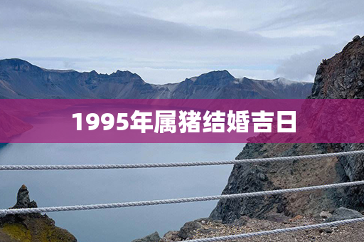 1995年属猪结婚吉日