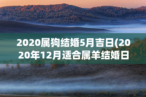 2020属狗结婚5月吉日(2020年12月适合属羊结婚日)