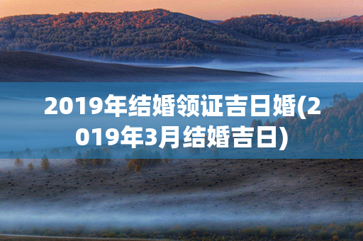 2019年结婚领证吉日婚(2019年3月结婚吉日)