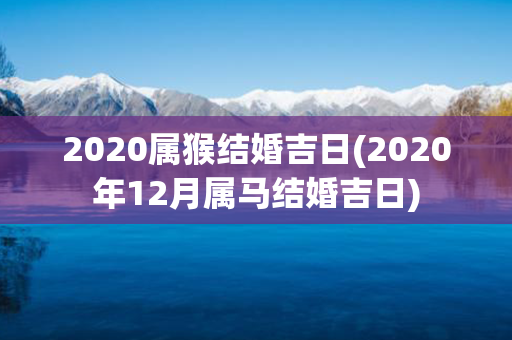 2020属猴结婚吉日(2020年12月属马结婚吉日)