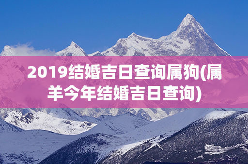 2019结婚吉日查询属狗(属羊今年结婚吉日查询)