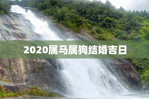 2020属马属狗结婚吉日