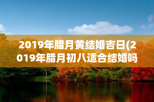 2019年腊月黄结婚吉日(2019年腊月初八适合结婚吗)