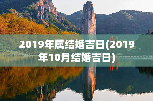 2019年属结婚吉日(2019年10月结婚吉日)