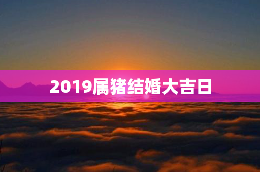 2019属猪结婚大吉日