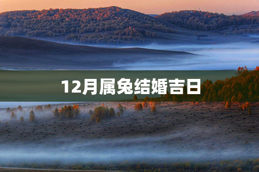 12月属兔结婚吉日