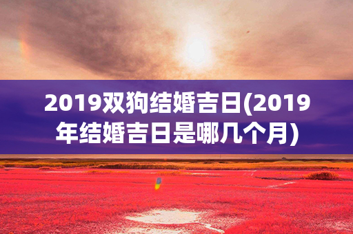 2019双狗结婚吉日(2019年结婚吉日是哪几个月)