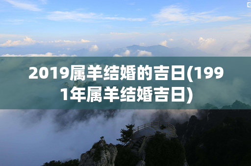 2019属羊结婚的吉日(1991年属羊结婚吉日)