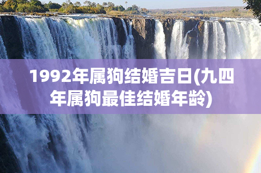 1992年属狗结婚吉日(九四年属狗最佳结婚年龄)