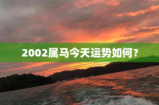 2002属马今天运势如何？