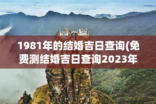 1981年的结婚吉日查询(免费测结婚吉日查询2023年)