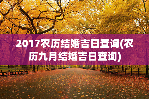 2017农历结婚吉日查询(农历九月结婚吉日查询)