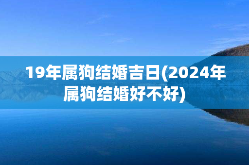 19年属狗结婚吉日(2024年属狗结婚好不好)